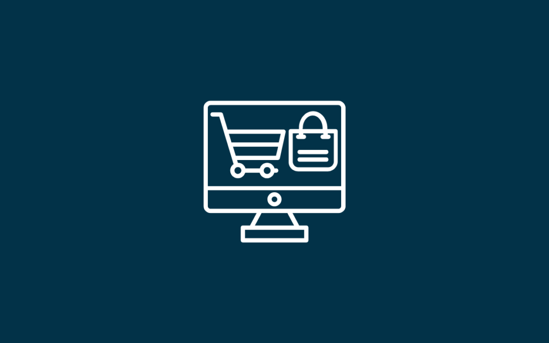 What do you need for a professional web shop?